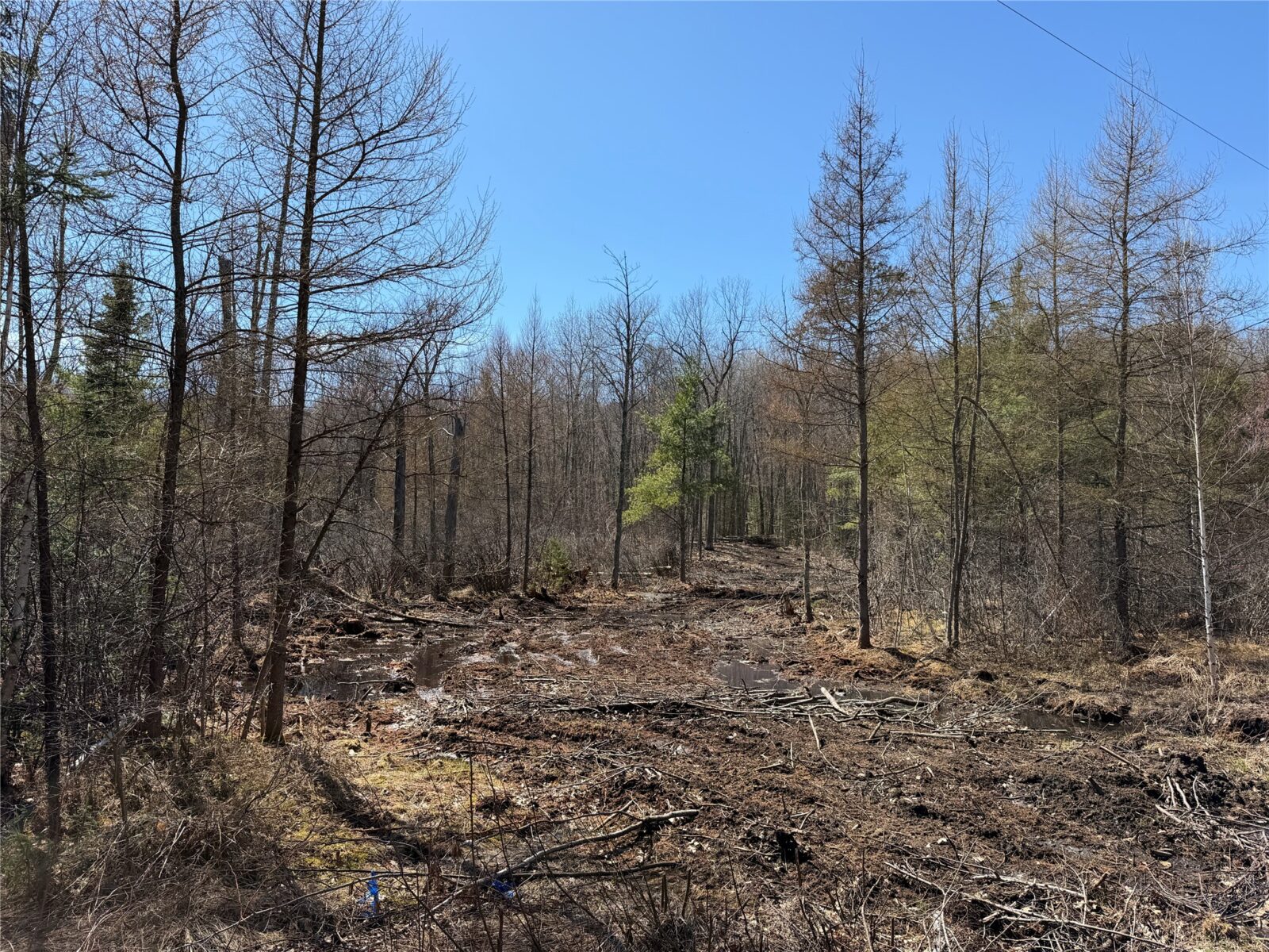 Lot 2 Eaton Road, Hayward, WI — photo 5