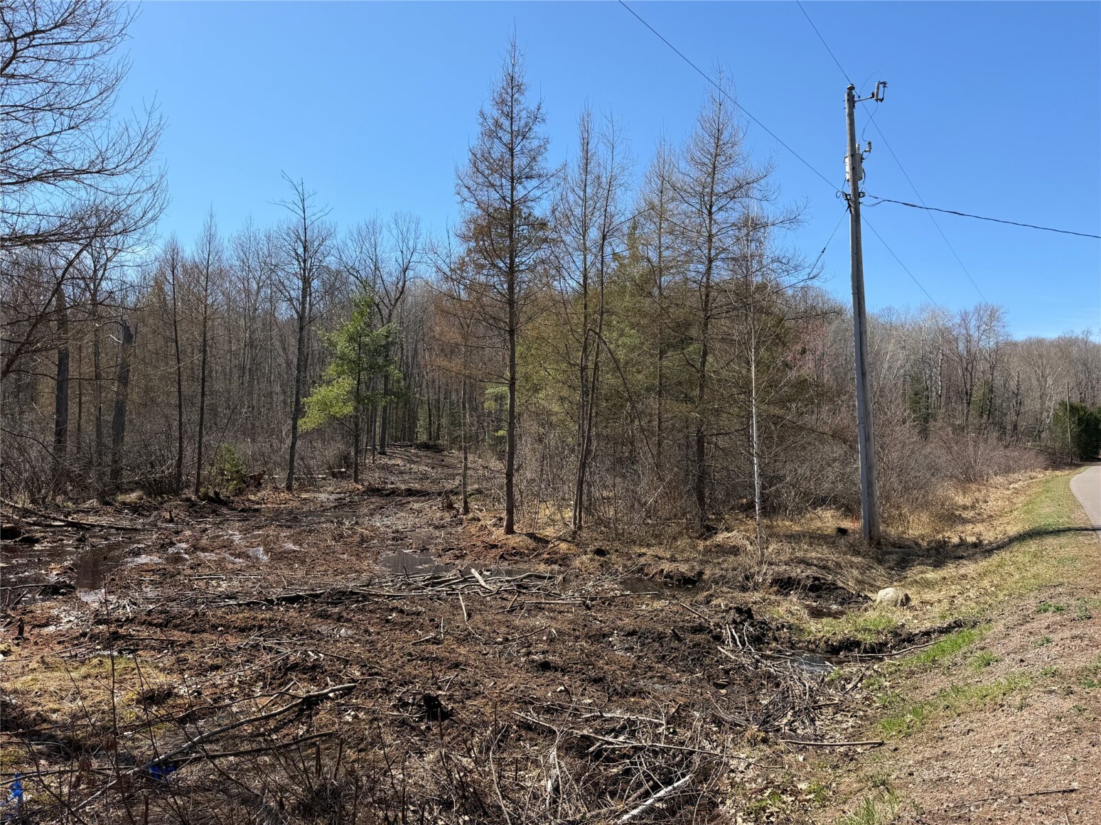 Lot 2 Eaton Road, Hayward, WI — photo 6