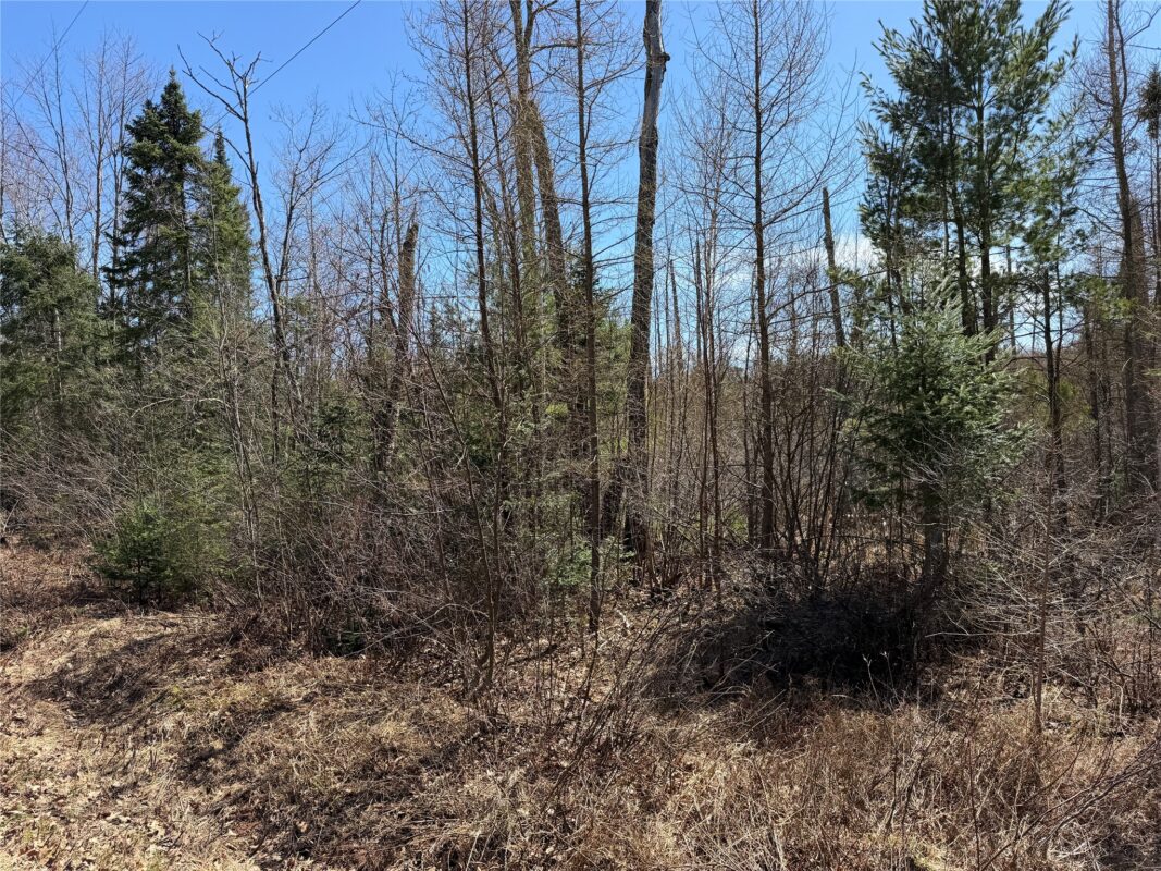 Lot 2 Eaton Road, Hayward, WI — photo 7