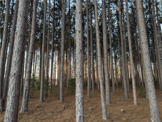 Lot 2 CSM 6341 Jenny Lane, Hayward, WI