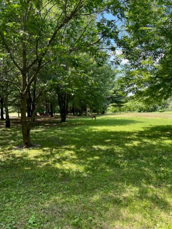 N7598 State Road 25, Menomonie, WI