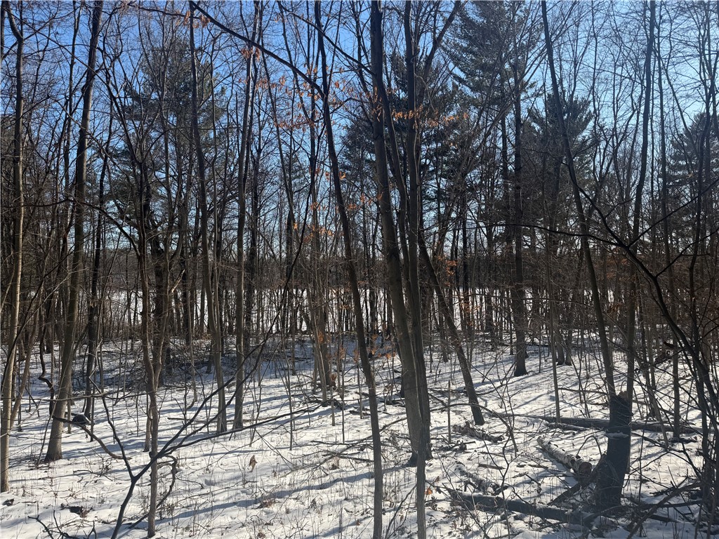 0 121st Avenue, Chippewa Falls, WI — photo 12