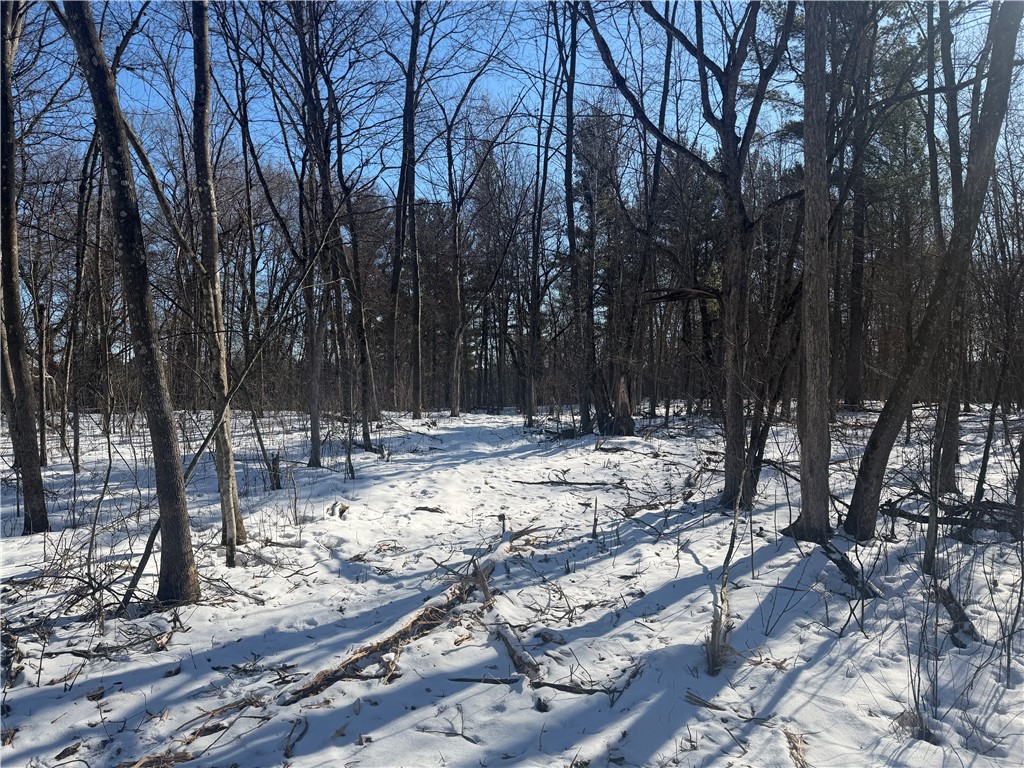 0 121st Avenue, Chippewa Falls, WI — photo 13