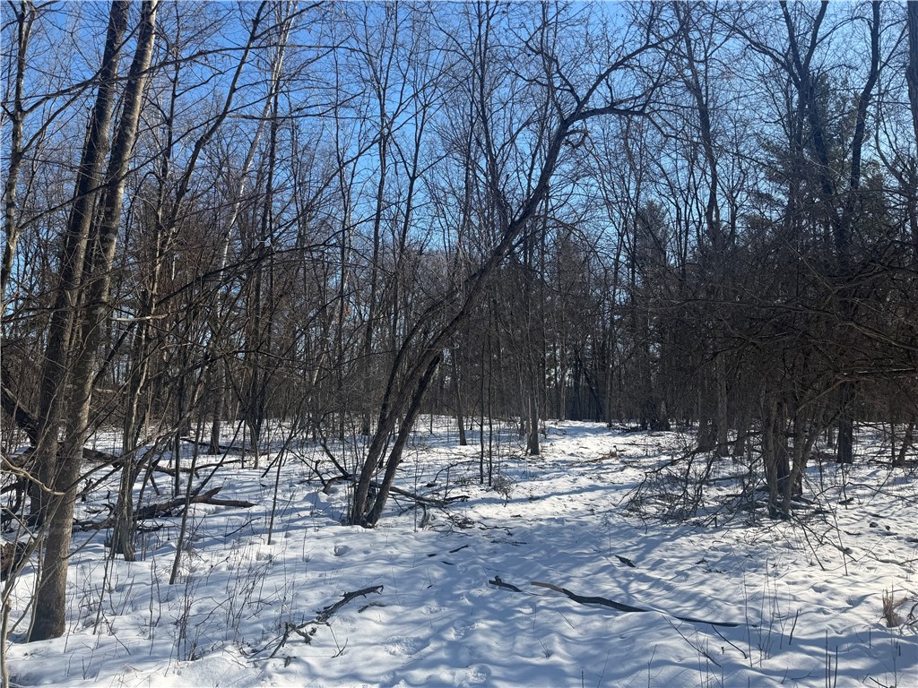 0 121st Avenue, Chippewa Falls, WI — photo 14