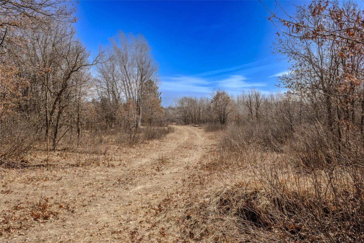 0 280th Ave Cushing WI 54006 — photo 11