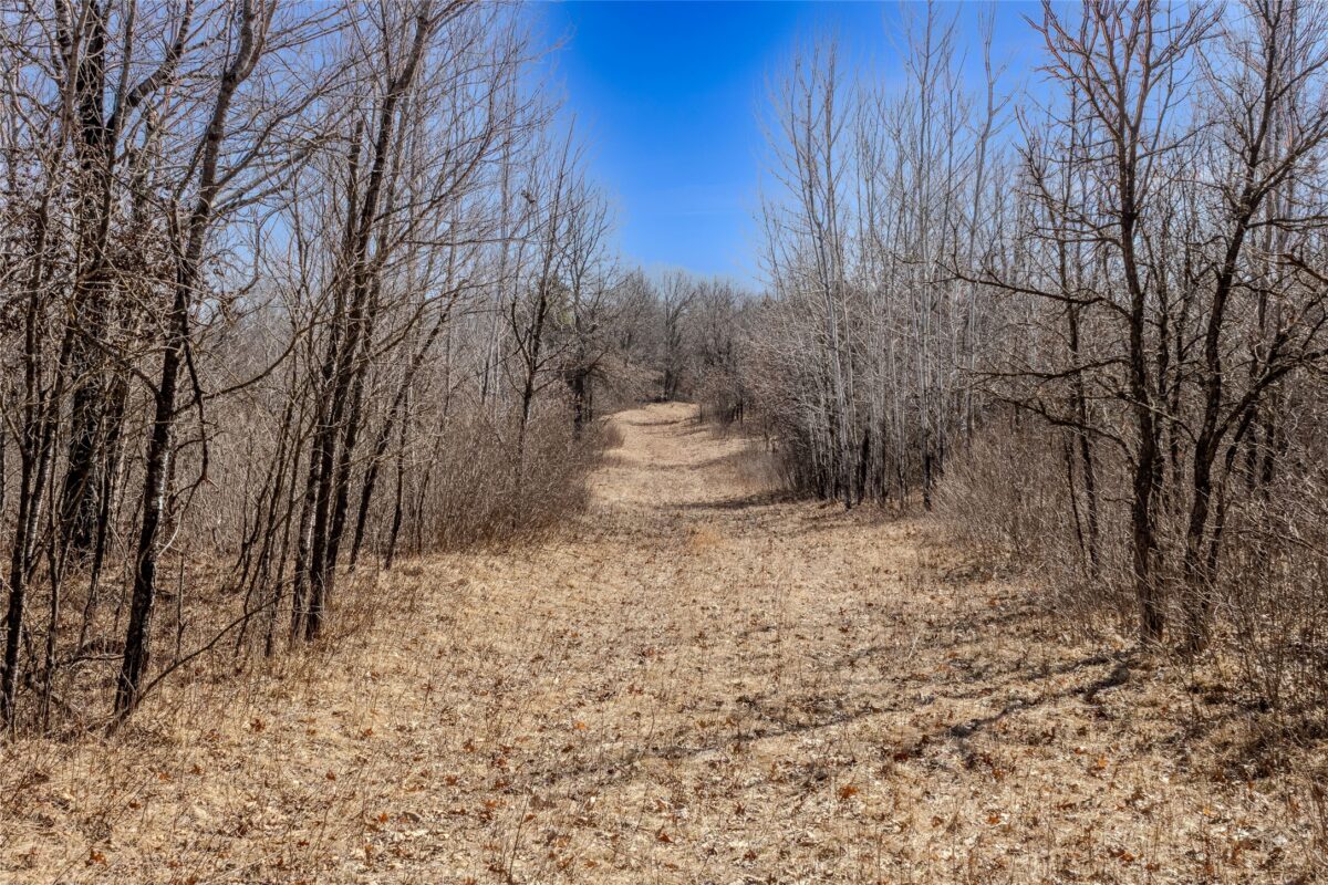 0 280th Ave Cushing WI 54006 — photo 13