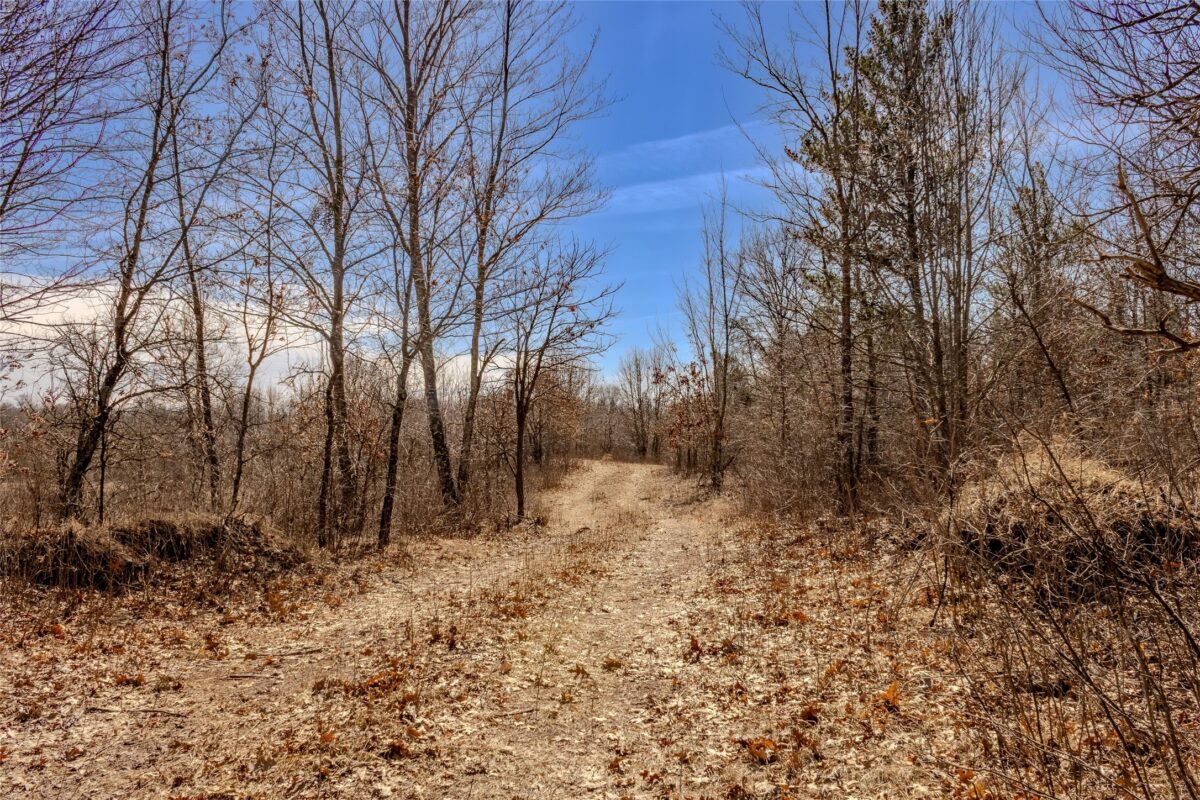 0 280th Ave Cushing WI 54006 — photo 5