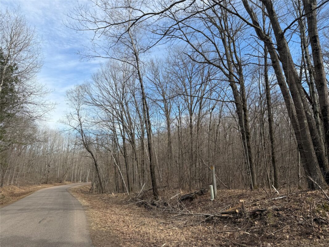 0 290th Avenue New Auburn WI 54757 — photo 2