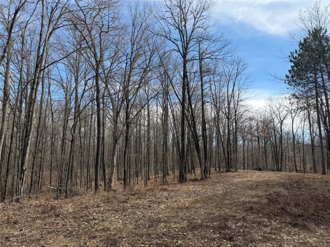 0 290th Avenue New Auburn WI 54757 — photo 3