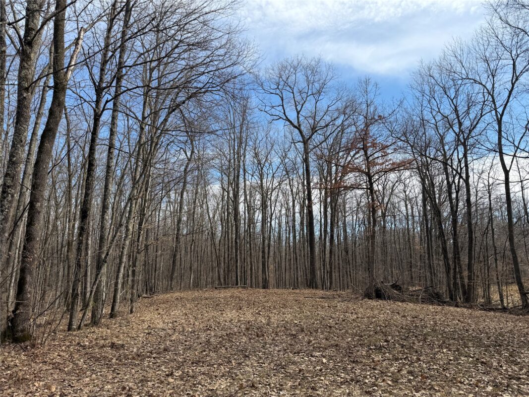 0 290th Avenue New Auburn WI 54757 — photo 4