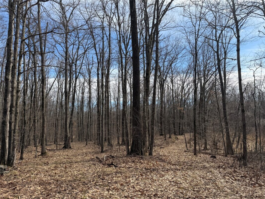 0 290th Avenue New Auburn WI 54757 — photo 5