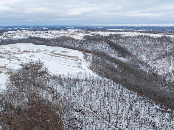 0 Maplewood Lane Alma WI 54610 — photo 1