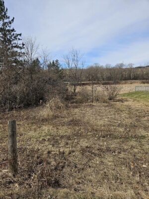 00 1st Cumberland WI 54829 — photo 1