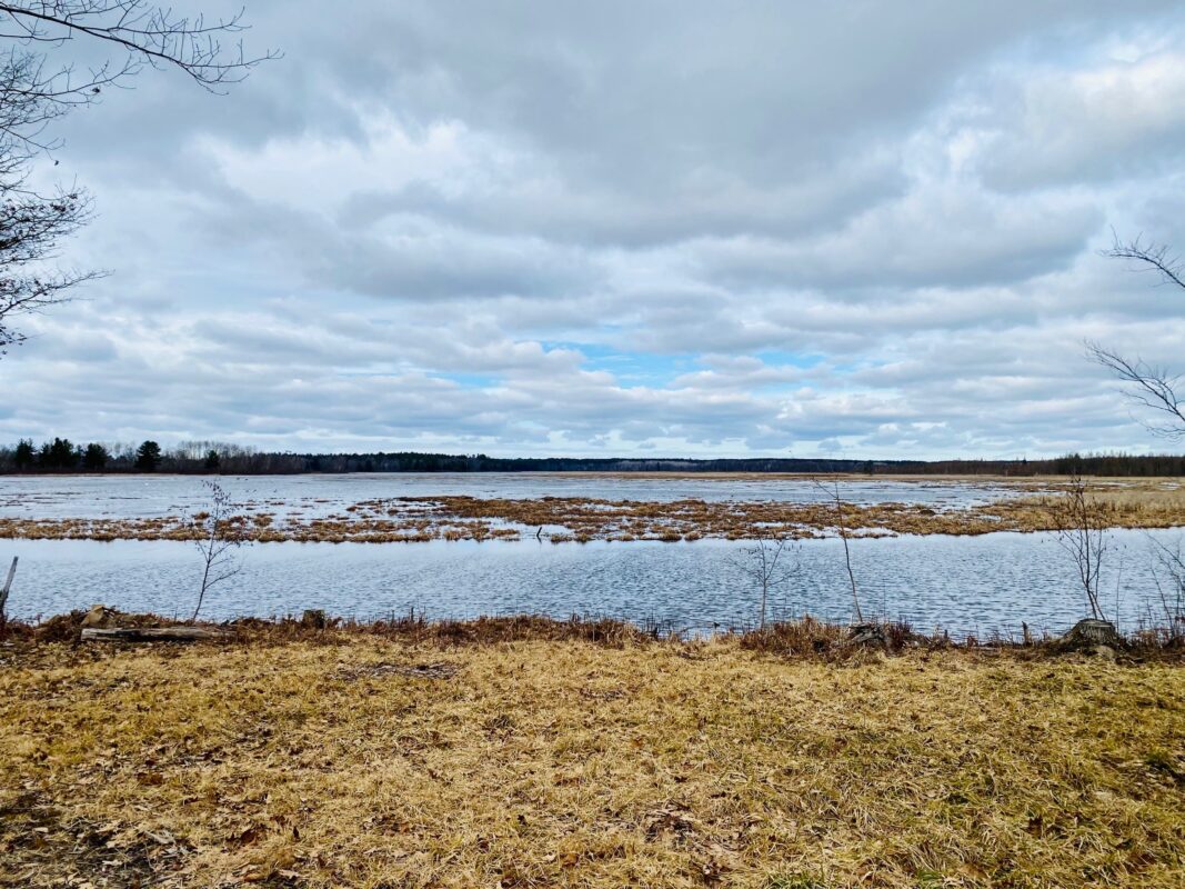 00 County Road Y Gordon WI 54838 — photo 11