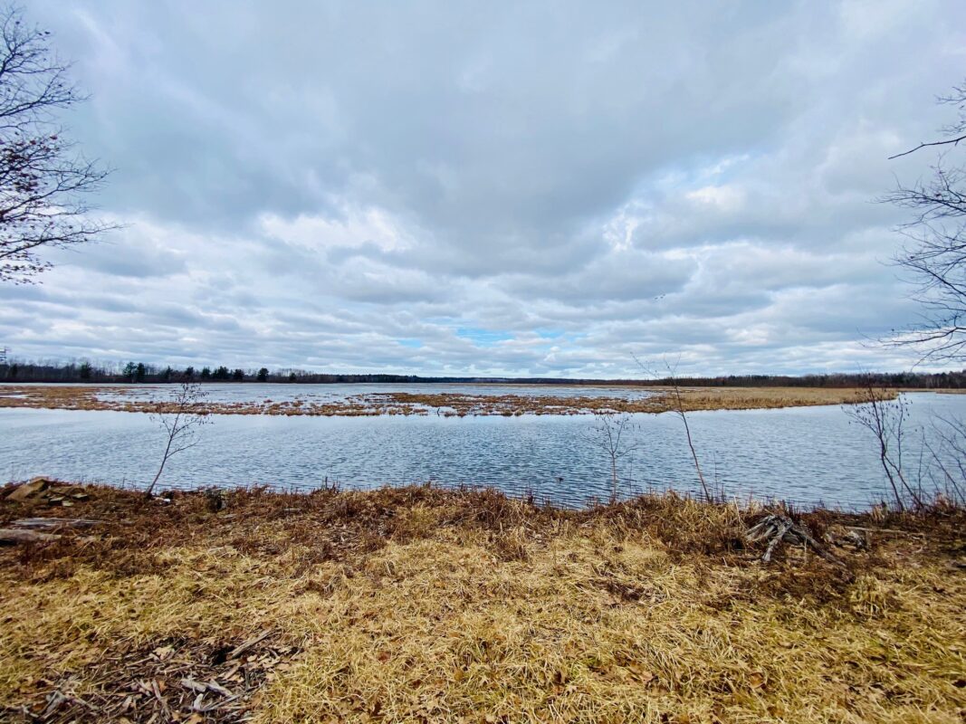00 County Road Y Gordon WI 54838 — photo 12