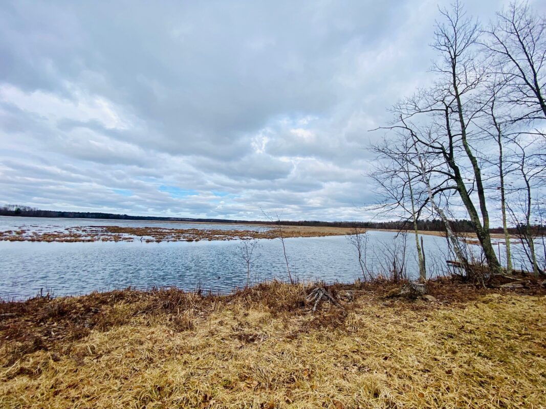 00 County Road Y Gordon WI 54838 — photo 13