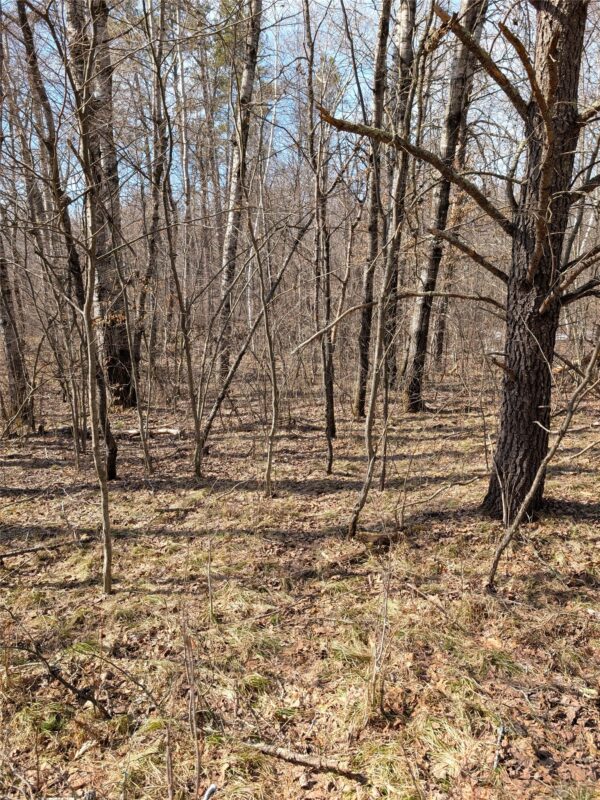 00 Larson Rd Springbrook WI 54875 — photo 10