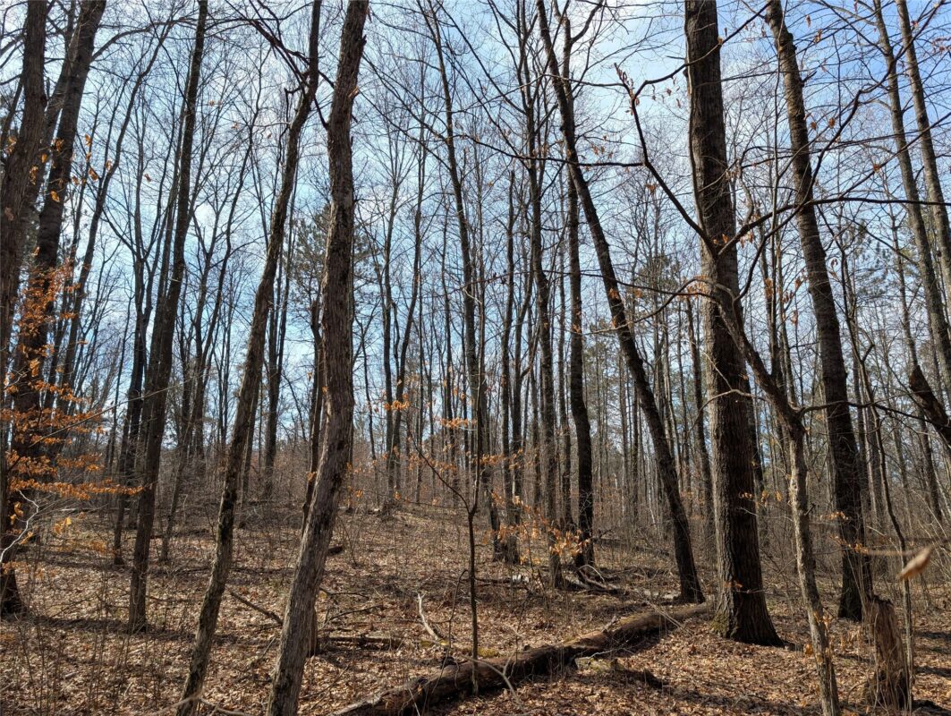 00 Larson Rd Springbrook WI 54875 — photo 11