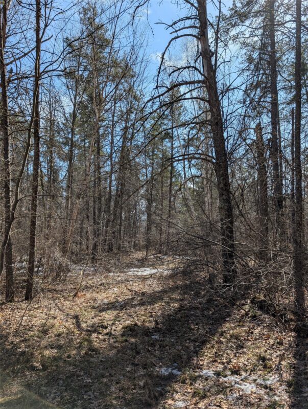 00 Larson Rd Springbrook WI 54875 — photo 14