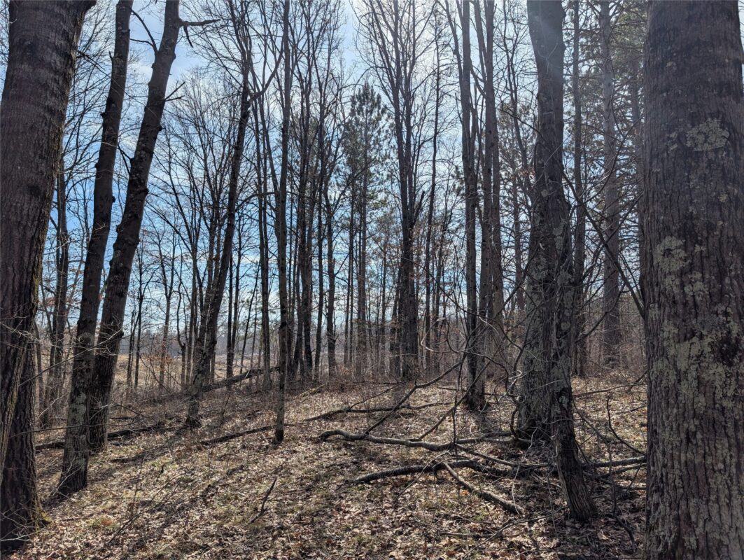 00 Larson Rd Springbrook WI 54875 — photo 15