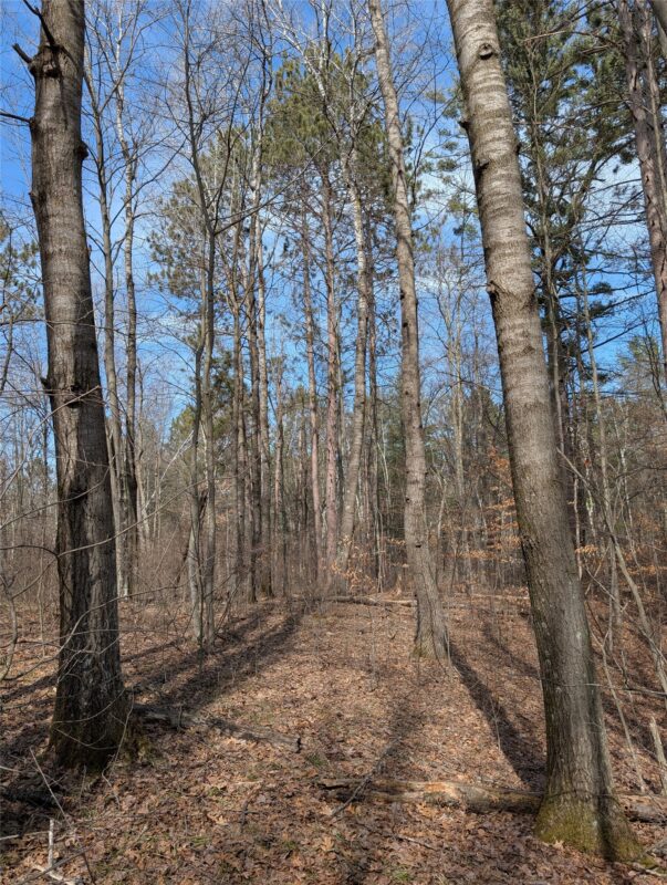 00 Larson Rd Springbrook WI 54875 — photo 16