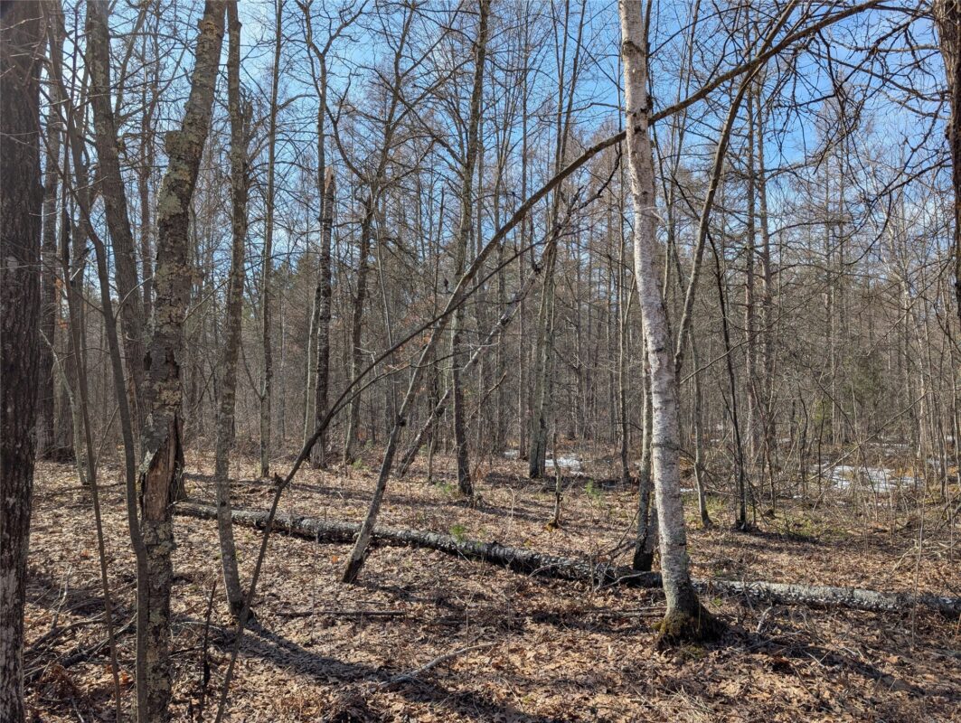 00 Larson Rd Springbrook WI 54875 — photo 17