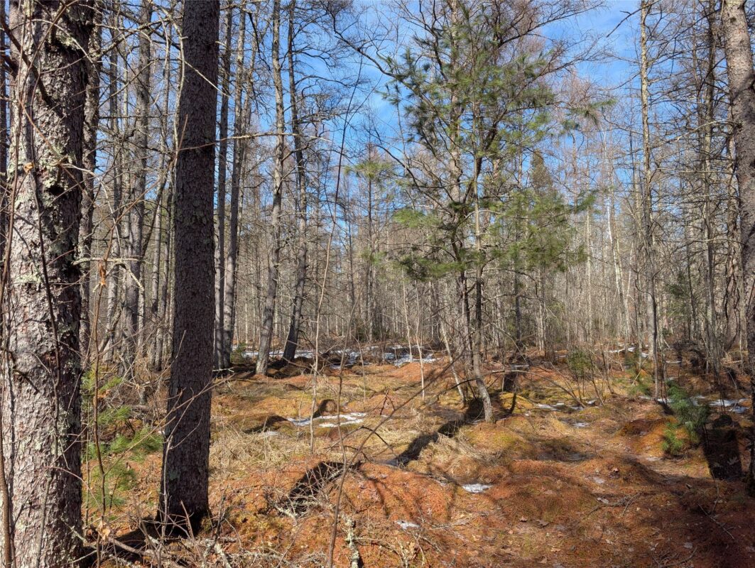 00 Larson Rd Springbrook WI 54875 — photo 18