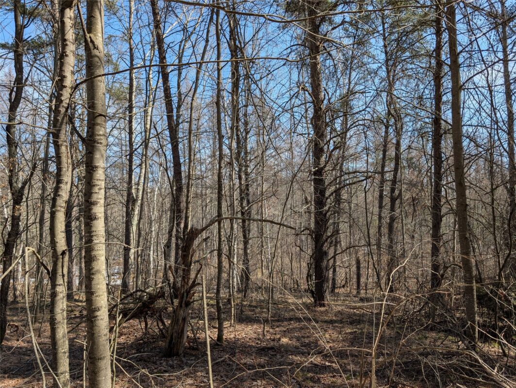 00 Larson Rd Springbrook WI 54875 — photo 19