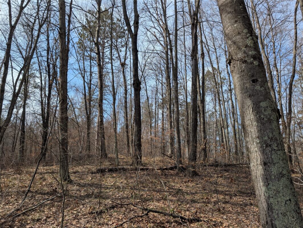 00 Larson Rd Springbrook WI 54875 — photo 20