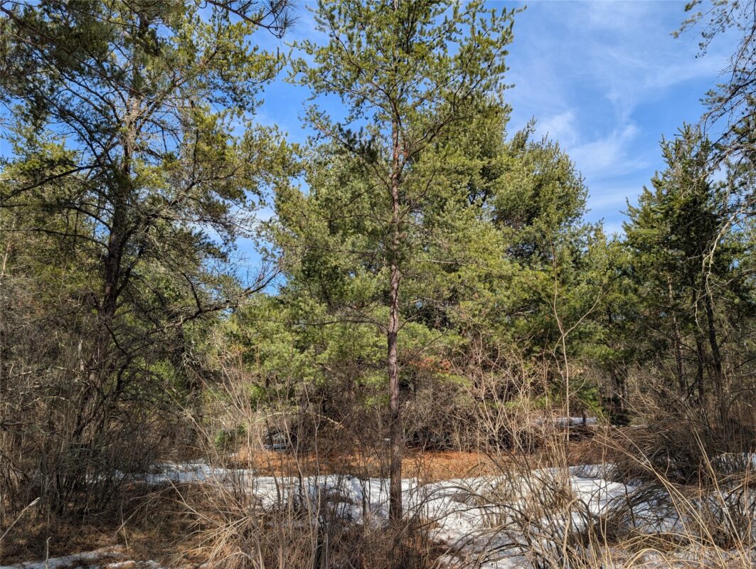 00 Larson Rd Springbrook WI 54875 — photo 22