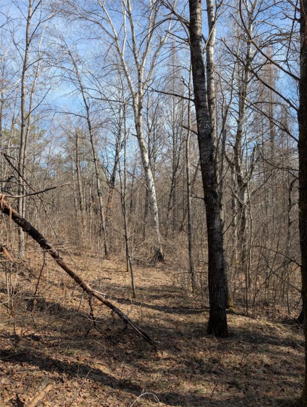 00 Larson Rd Springbrook WI 54875 — photo 25