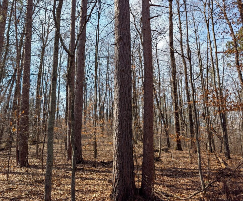 00 Larson Rd Springbrook WI 54875 — photo 3