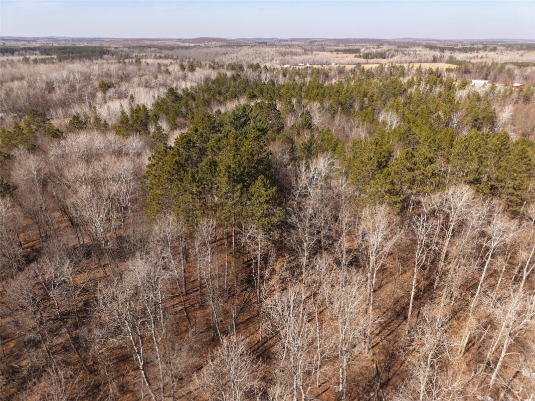 00 Larson Rd Springbrook WI 54875 — photo 4