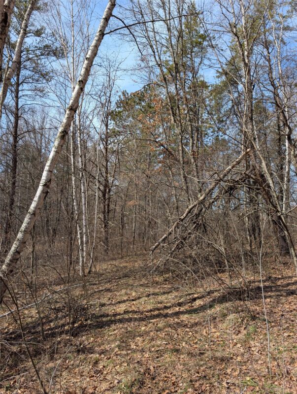 00 Larson Rd Springbrook WI 54875 — photo 8