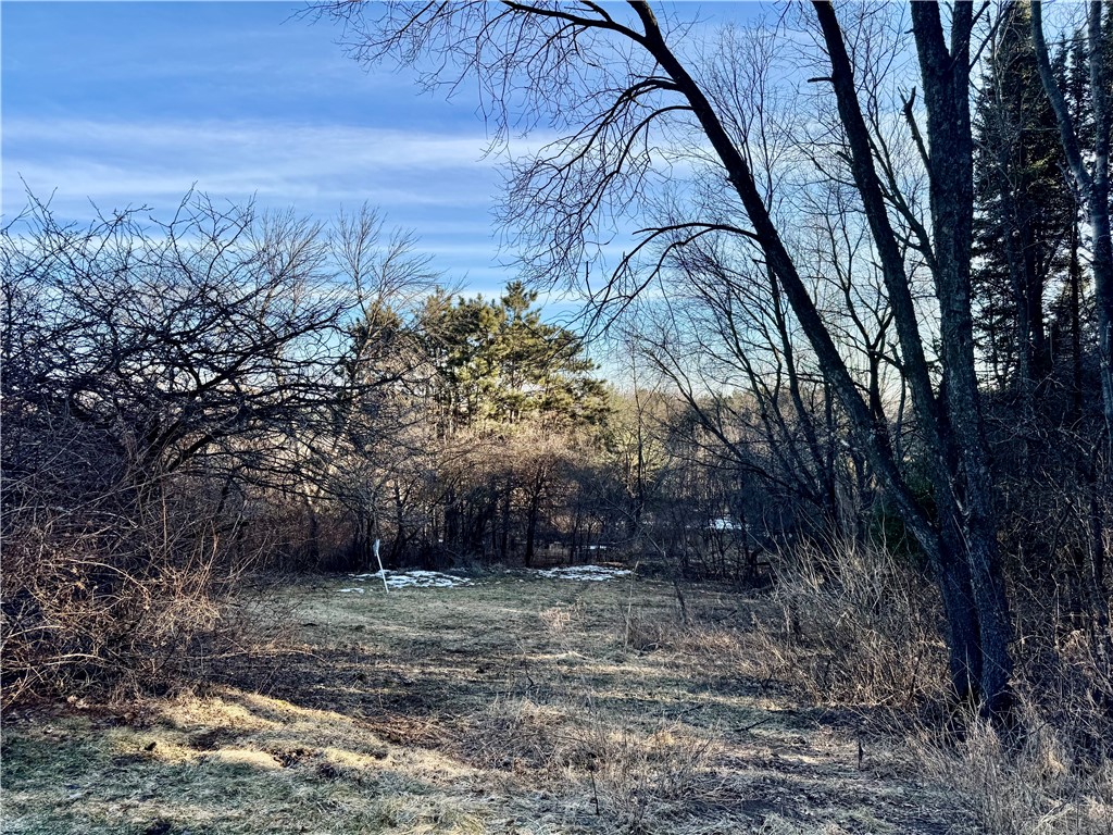 1118-Kathryn-Eau-Claire-WI-54701-7