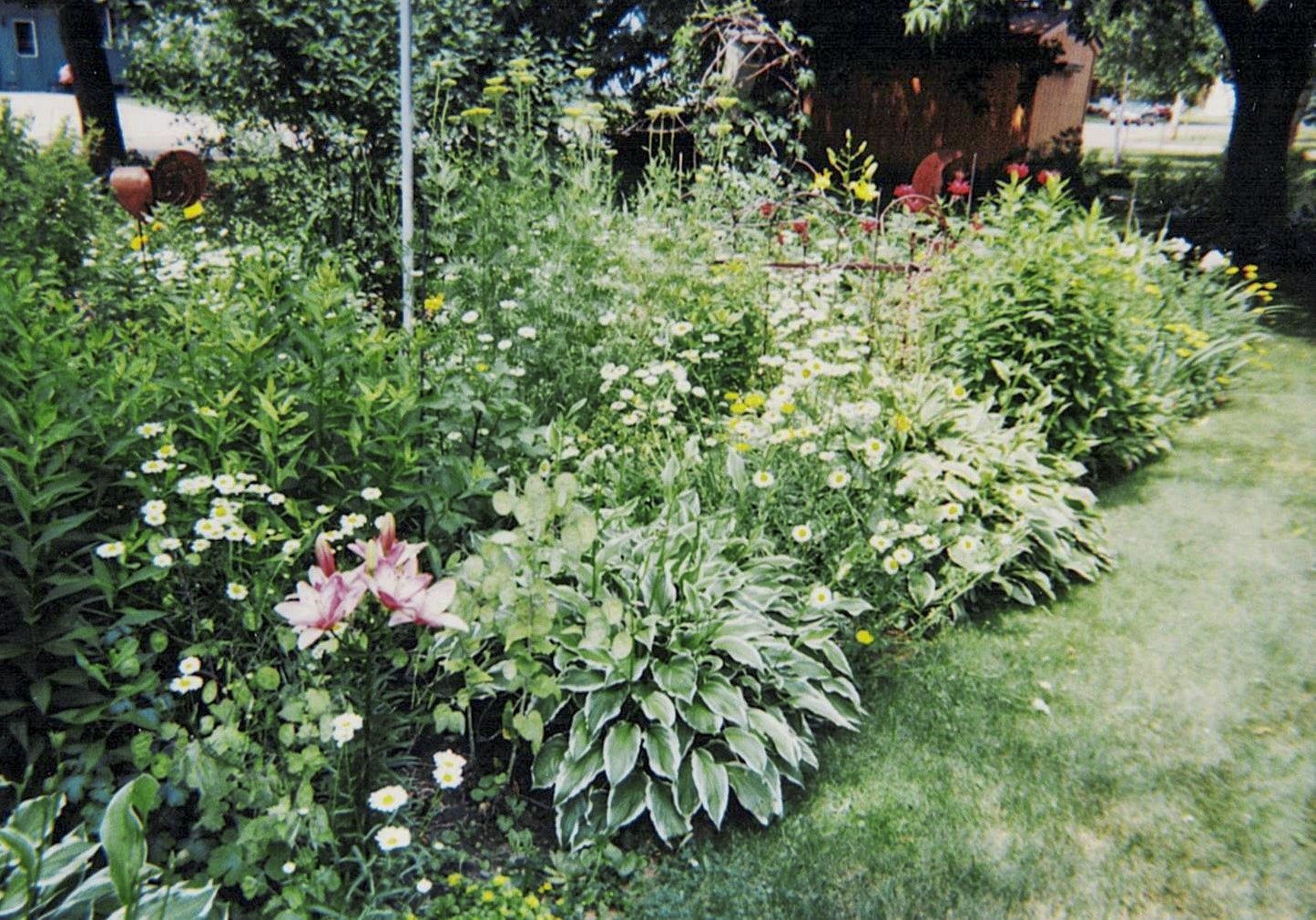 112 Elbert Drive, Rice Lake, WI — photo 33