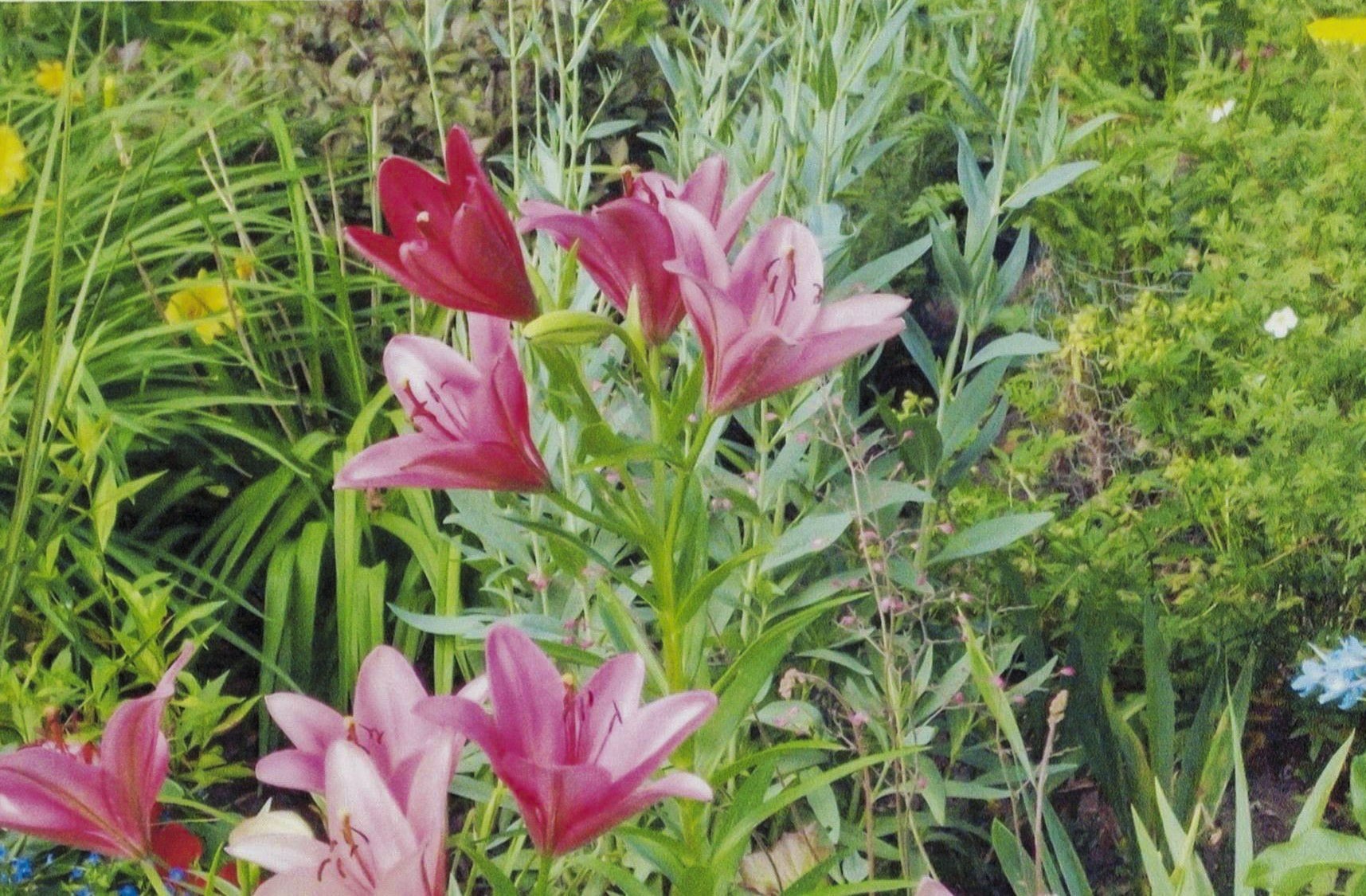 112 Elbert Drive, Rice Lake, WI — photo 38