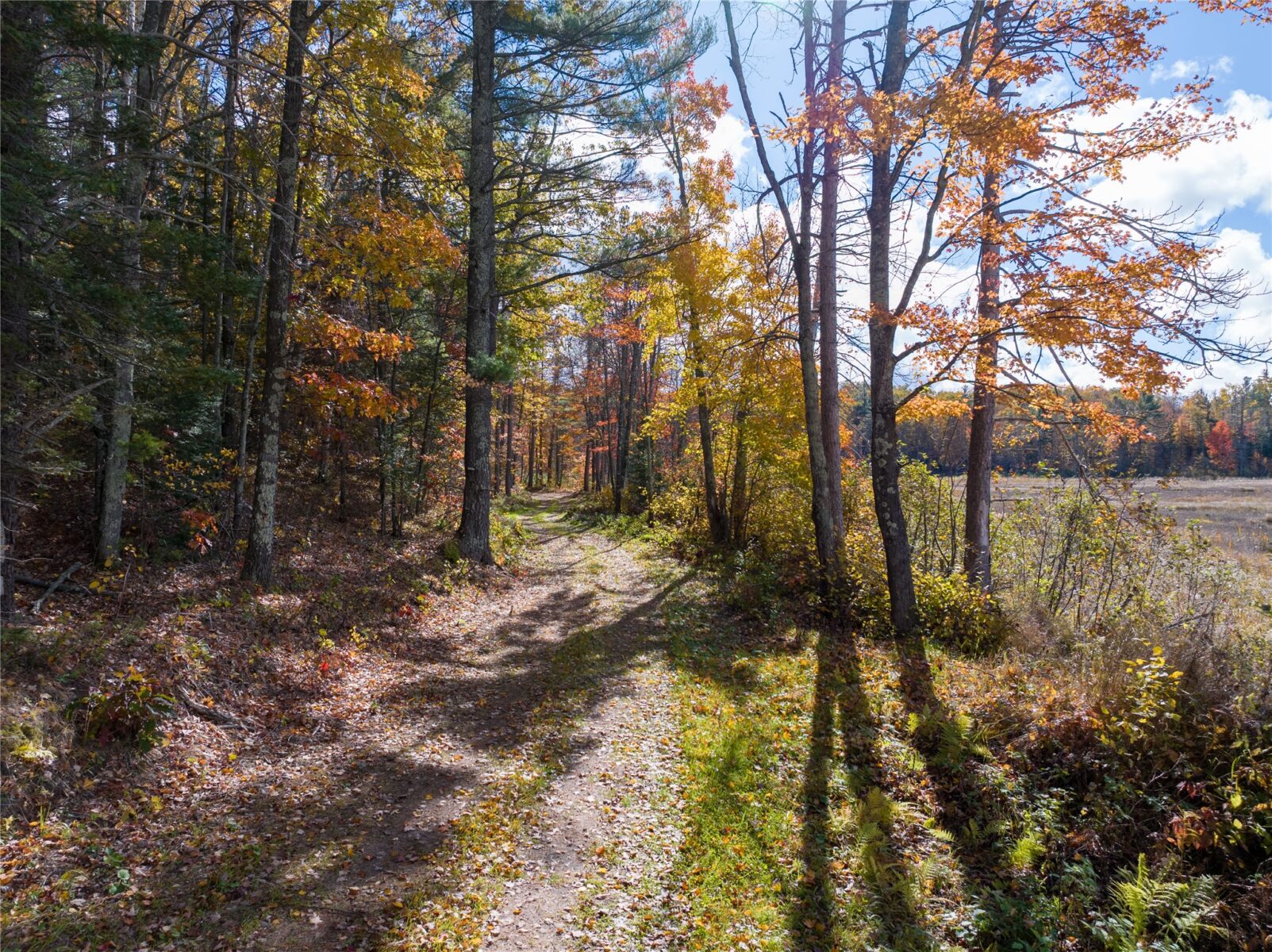 11256N Orion Road, Hayward, WI — photo 20