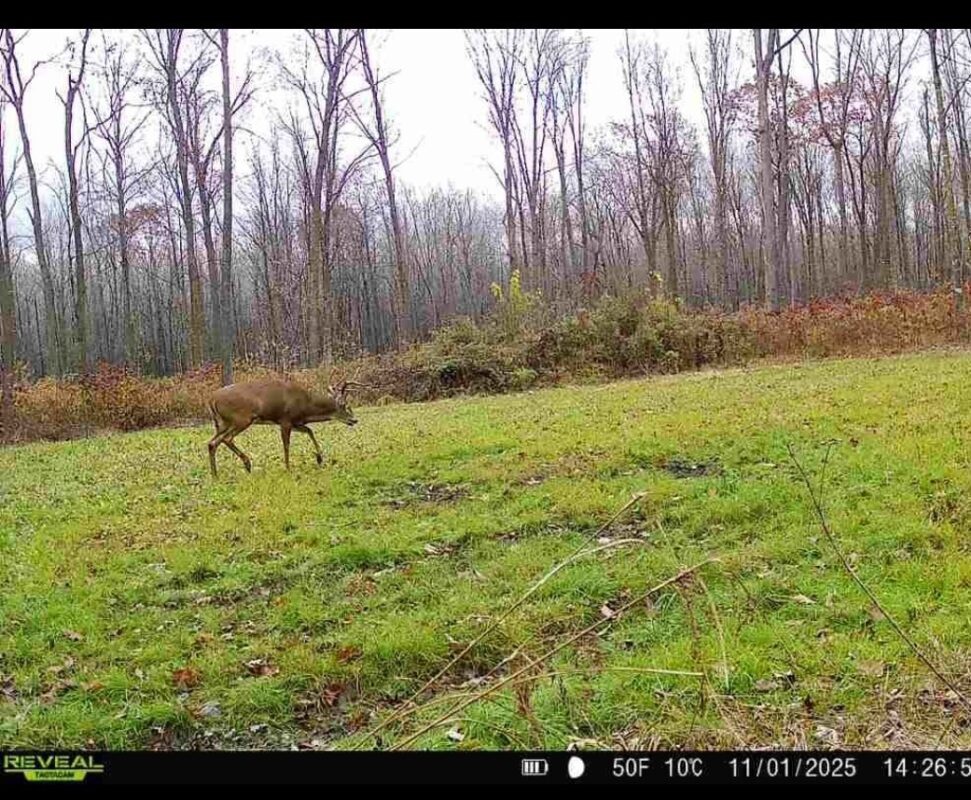 1563 N Helena Drive Holcombe WI 54731 — photo 17