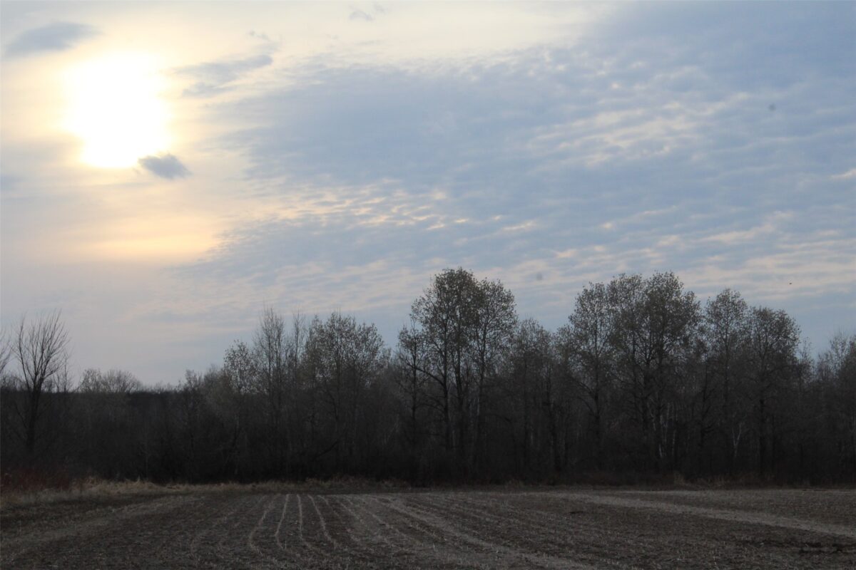 1563 N Helena Drive Holcombe WI 54731 — photo 2