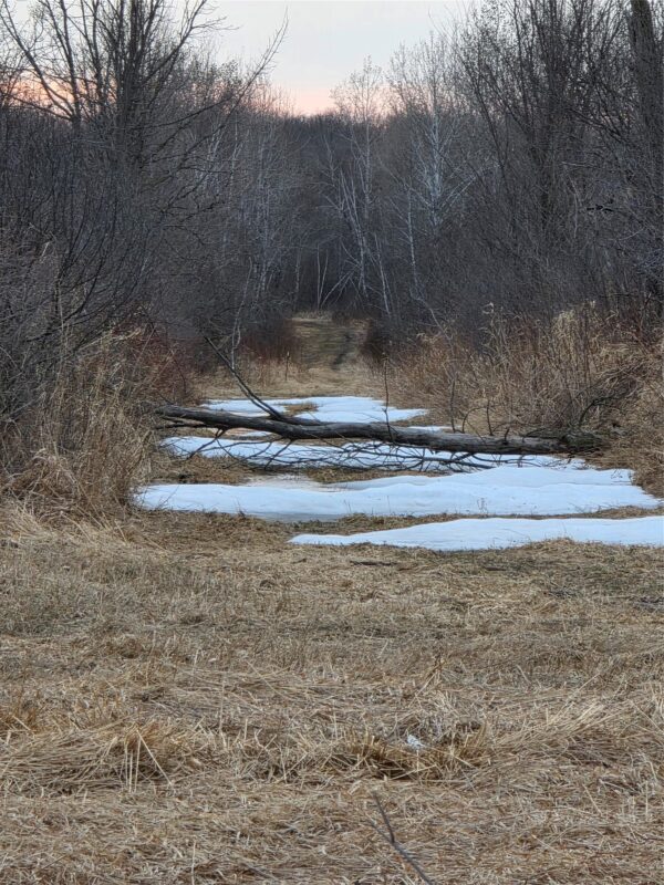 1563 N Helena Drive Holcombe WI 54731 — photo 22