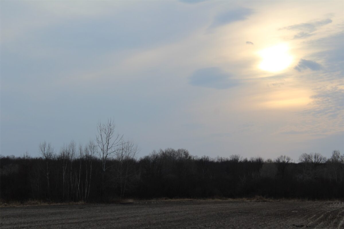 1563 N Helena Drive Holcombe WI 54731 — photo 25