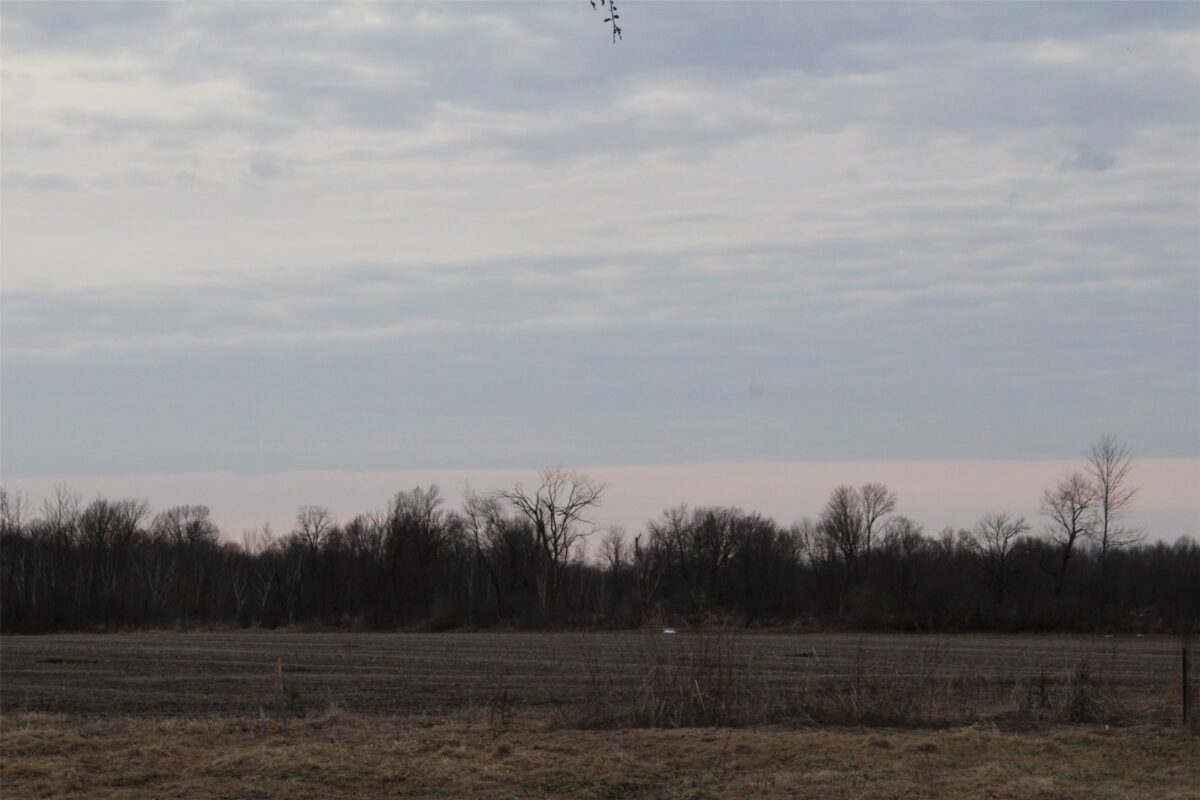 1563 N Helena Drive Holcombe WI 54731 — photo 26