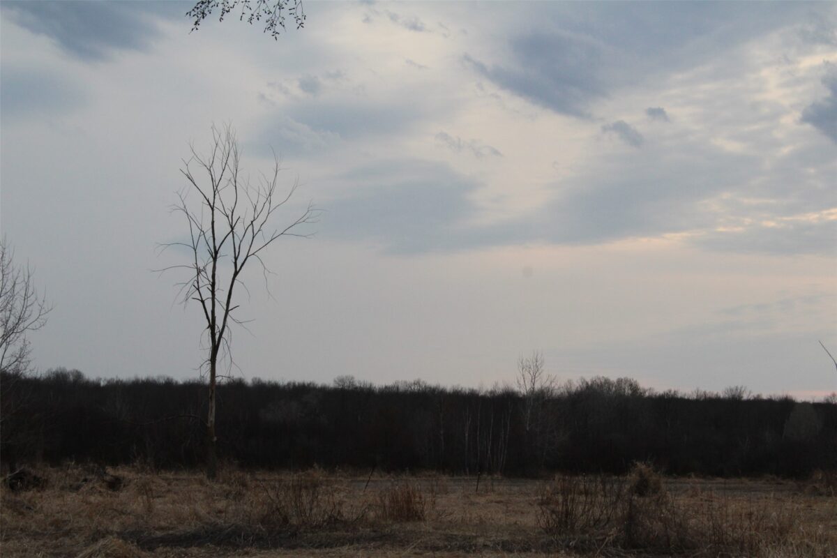 1563 N Helena Drive Holcombe WI 54731 — photo 27