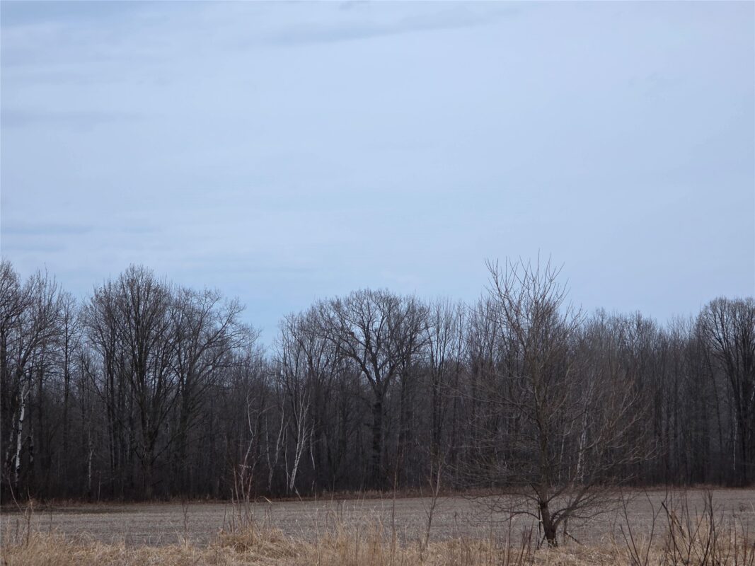 1563 N Helena Drive Holcombe WI 54731 — photo 28