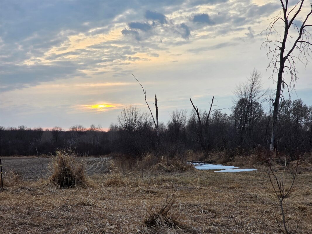 1563 N Helena Drive Holcombe WI 54731 — photo 30