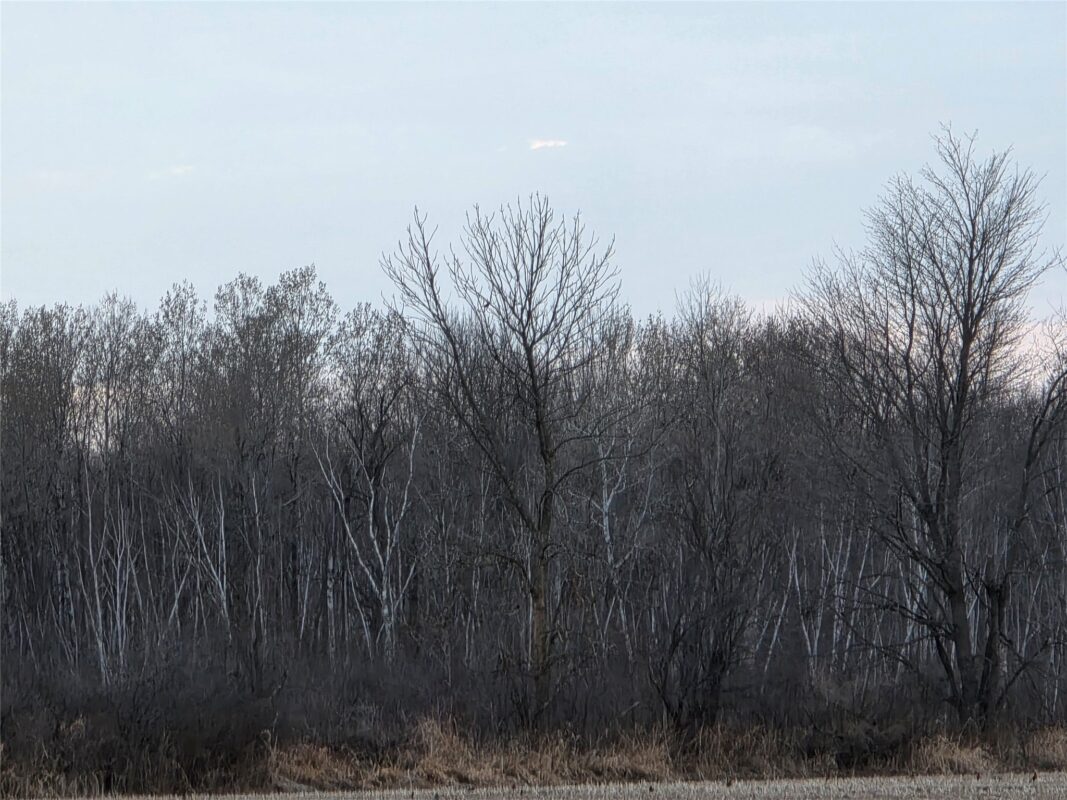 1563 N Helena Drive Holcombe WI 54731 — photo 32