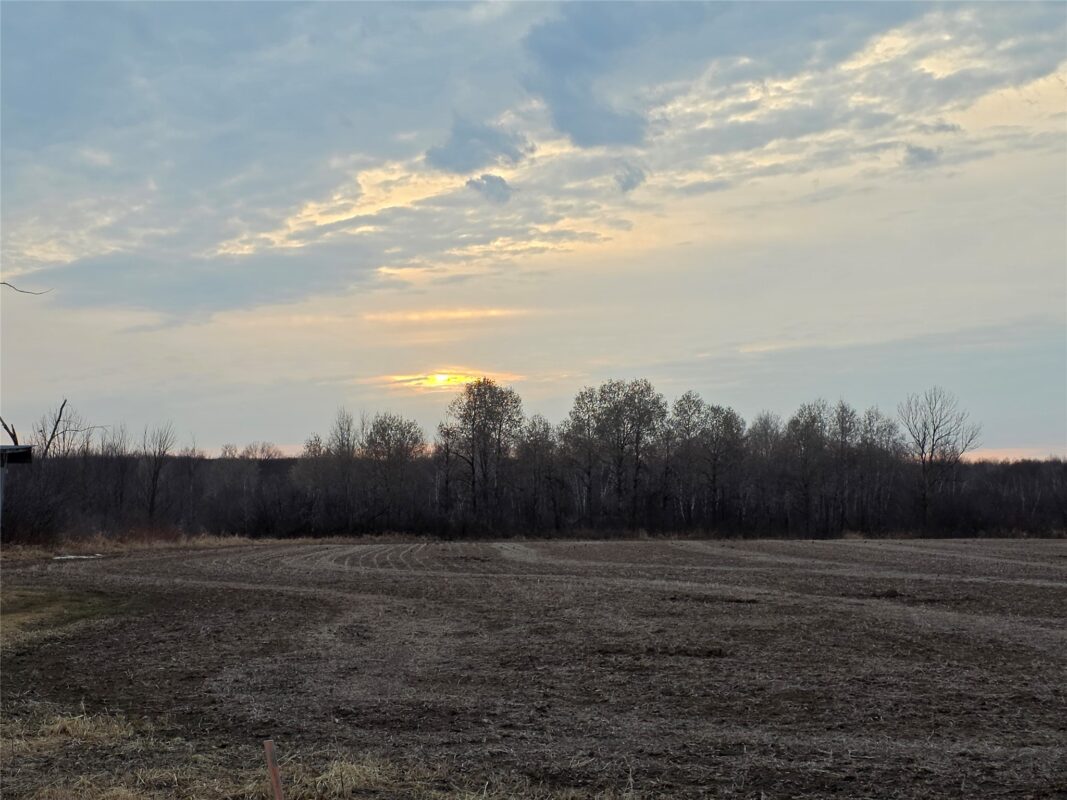 1563 N Helena Drive Holcombe WI 54731 — photo 33
