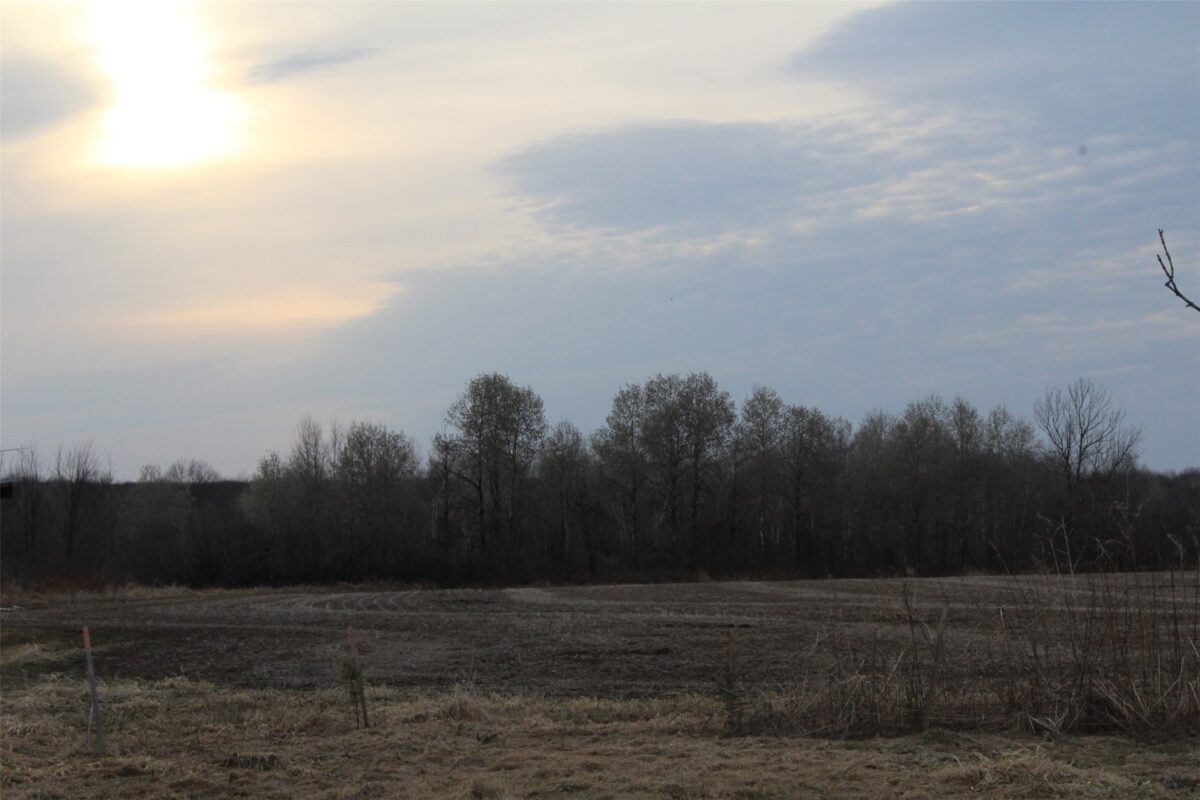 1563 N Helena Drive Holcombe WI 54731 — photo 38