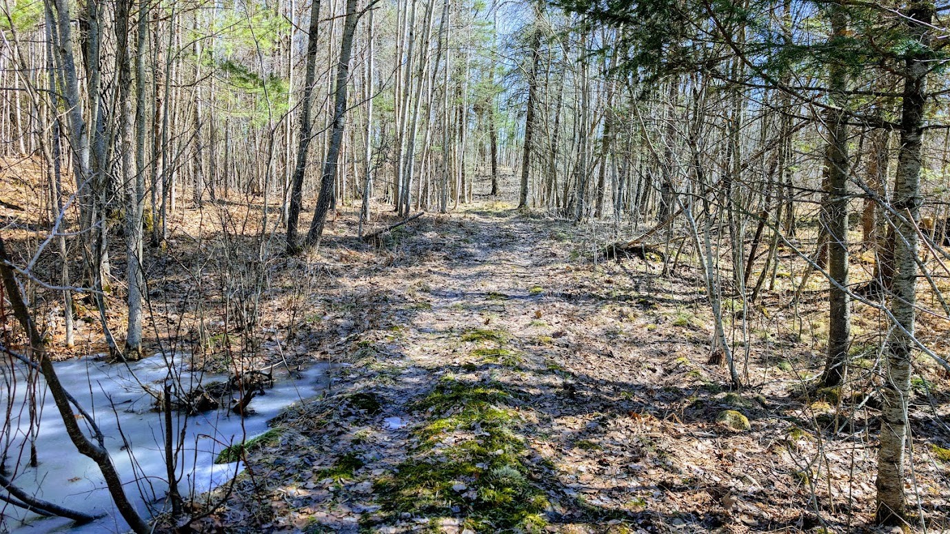 17341-County-Highway-M-New-Auburn-WI-54757-8